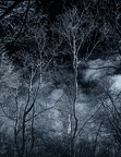 December Morning